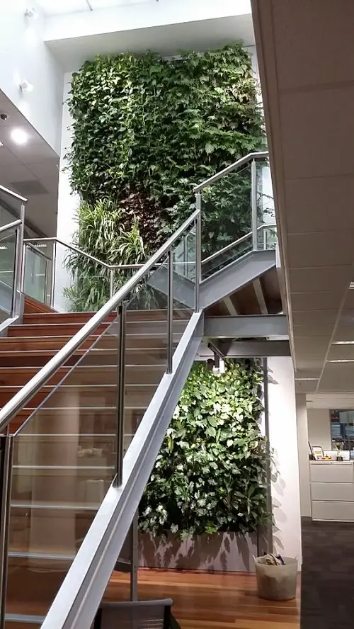 A Living Wall of Thick Leaves