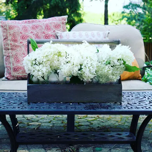 Magnificent Images of Annabelle Flowers