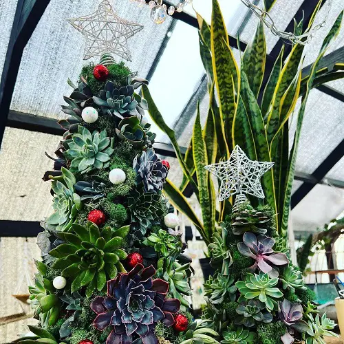 Indoor Succulent Christmas Tree Garden Ideas 28