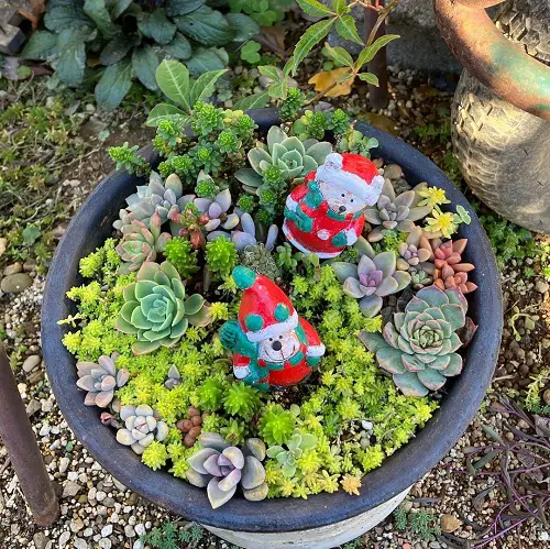 Container Garden with Figurines