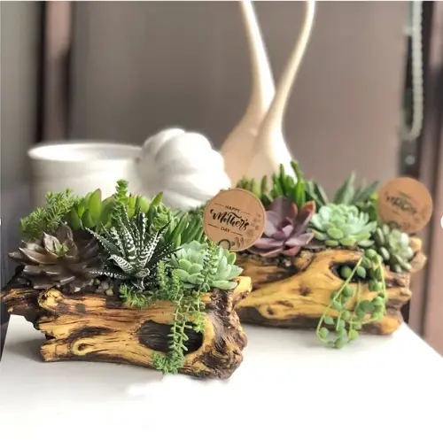 Miniature Tree Branch Planters