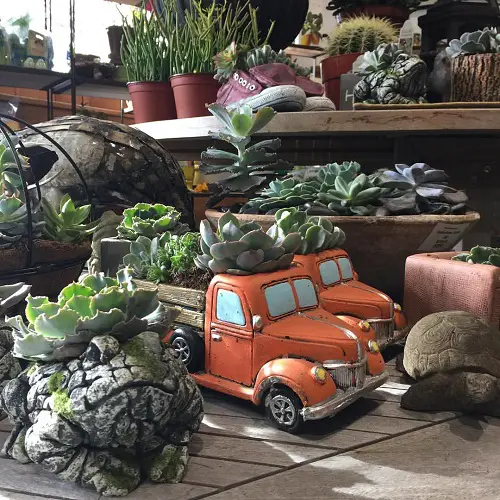 best stunning Indoor Succulent Garden Idea
