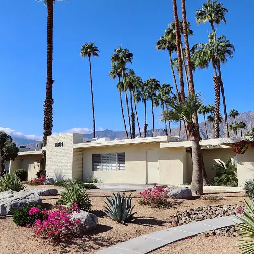 Side Yard Desert Landscaping