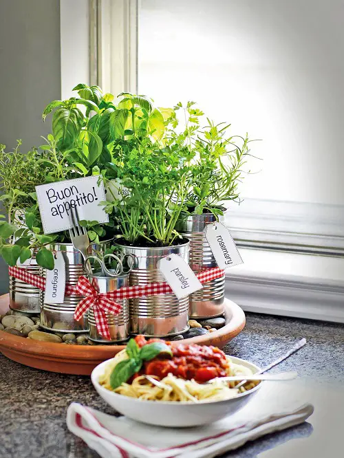 Herbs for Pasta