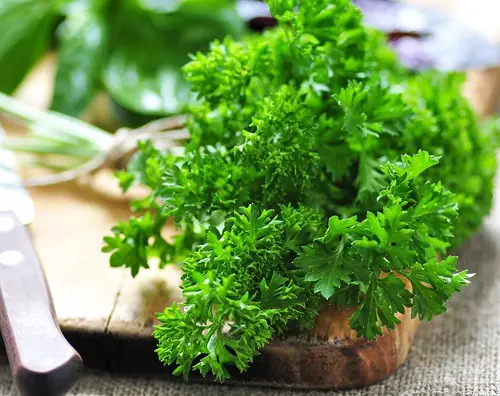 beautiful Herbs use for Pasta 