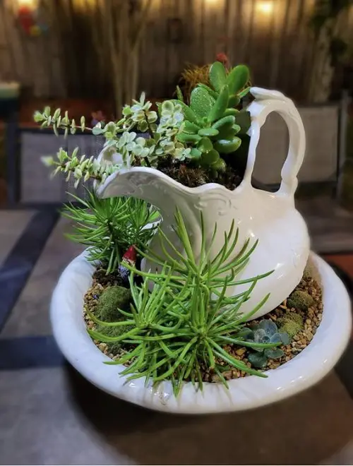 Tea Pot Succulent Garden