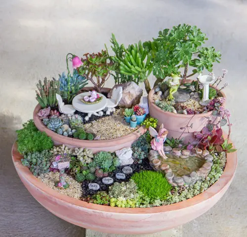 Succulent Fairy Garden