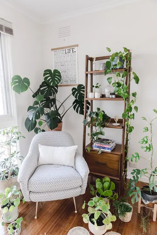 Ideas for Turning a Tiny Nook into a Mini Garden Indoors