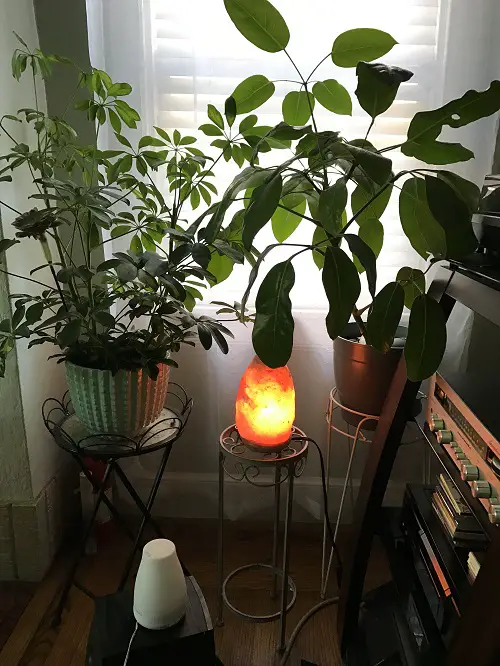 amazing Tiny Nook Made into a Mini Garden Indoors Ideas