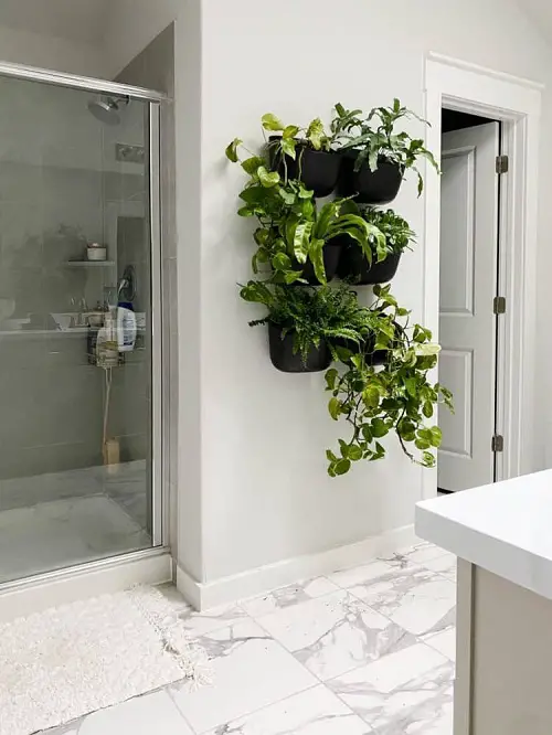 Use the Wall! for plant