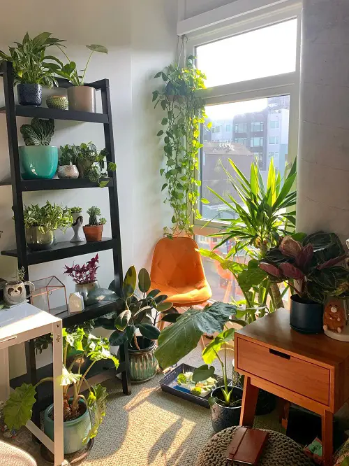 Tiny Nook Made into a Mini Garden Indoors Ideas