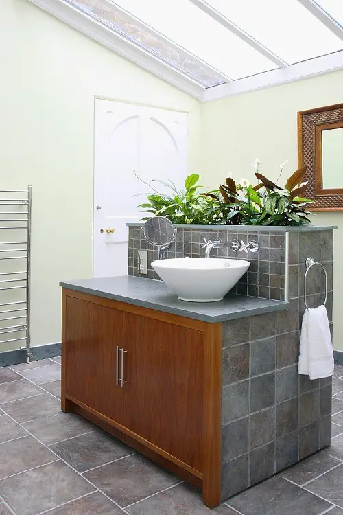 Plants Above the Wash Basin
