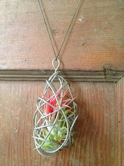 DIY Jewelry with Plant Ideas You Must Try Succulent Necklace