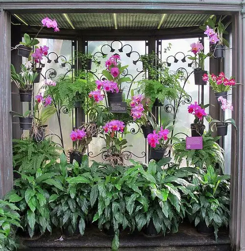 Wall Planters and Vibrant Leaves