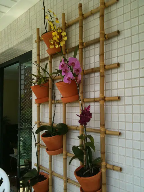 Clay Orchid Planters on Bamboo Plant Stand