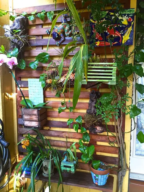 Balcony Orchid Garden Ideas Orchids in Wooden Planters