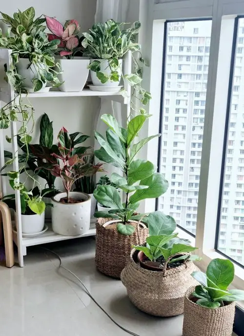 best Tiny Nook Made into a Mini Garden Indoors Ideas