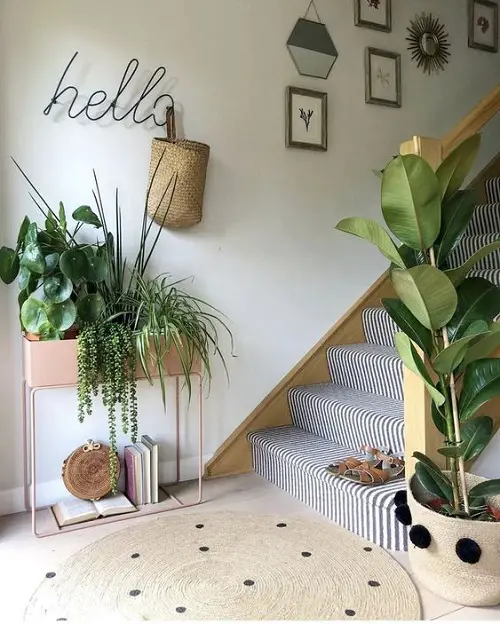 Big-Leafed Plants on a Large Planter on Plant Stand