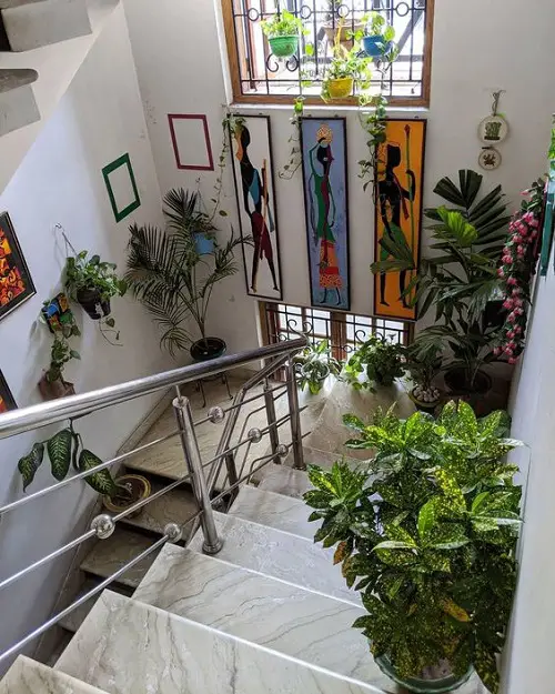 Big-Leafed Foliage on Stairs and Small Hanging Pots