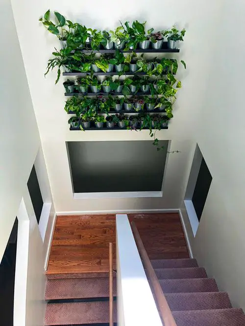  Garden on the Staircase Wall Ideas