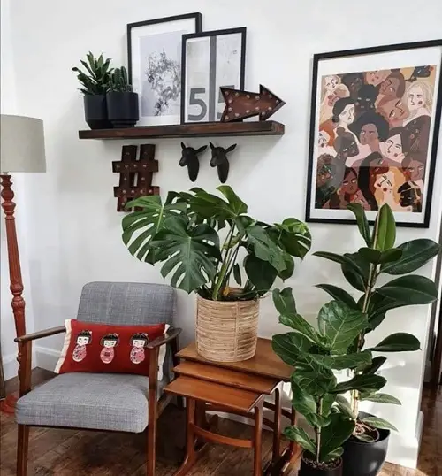 Ideas for a Tiny Nook into a Mini Garden Indoors