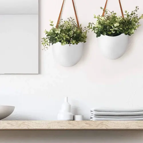 Two Planters Above the Shelf