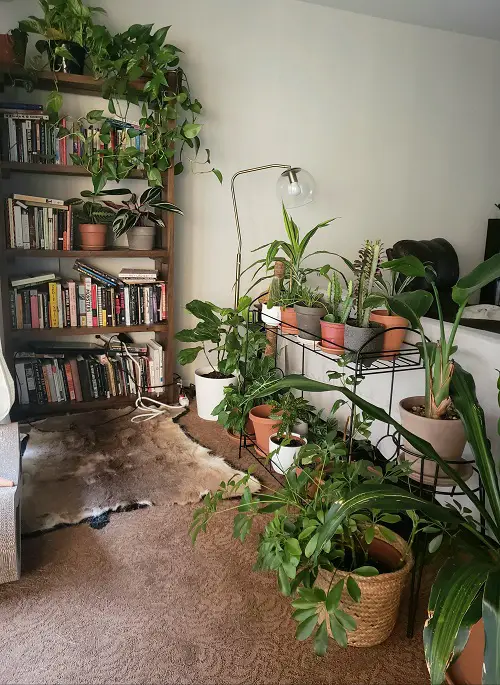 Ideas for Turning a Tiny Nook into a Mini Garden Indoors
