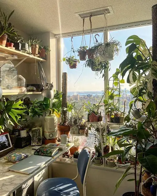 Inside, a Little Nook Transformed Into a Mini Garden Ideas

