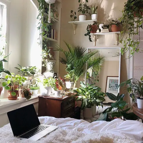 best Inside, a Little Nook Transformed Into a Mini Garden Ideas
