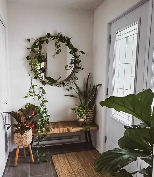amazing Inside, a Little Nook Transformed Into a Mini Garden Ideas