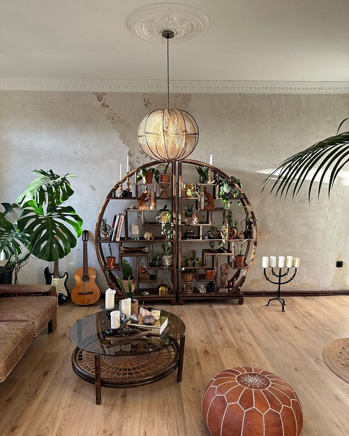Swiss Cheese Plant and Plant Collection on the Shelves