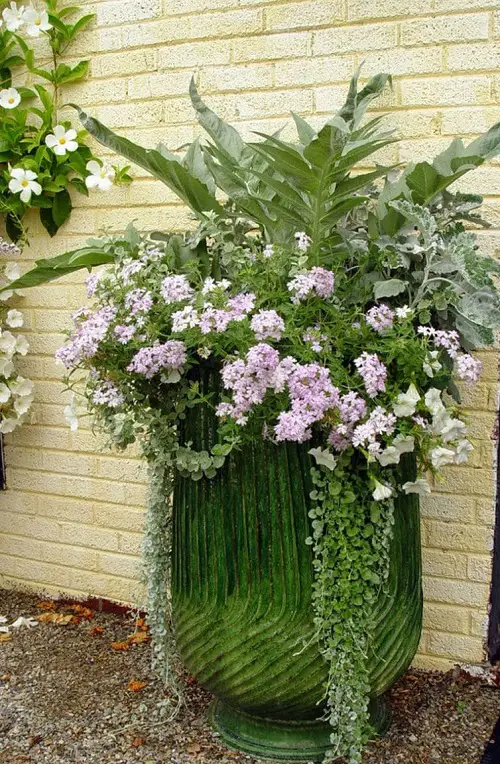Ideas for Plant Combinations for Container Gardens 