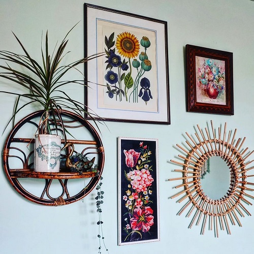 Plant Collection on the Shelves 1