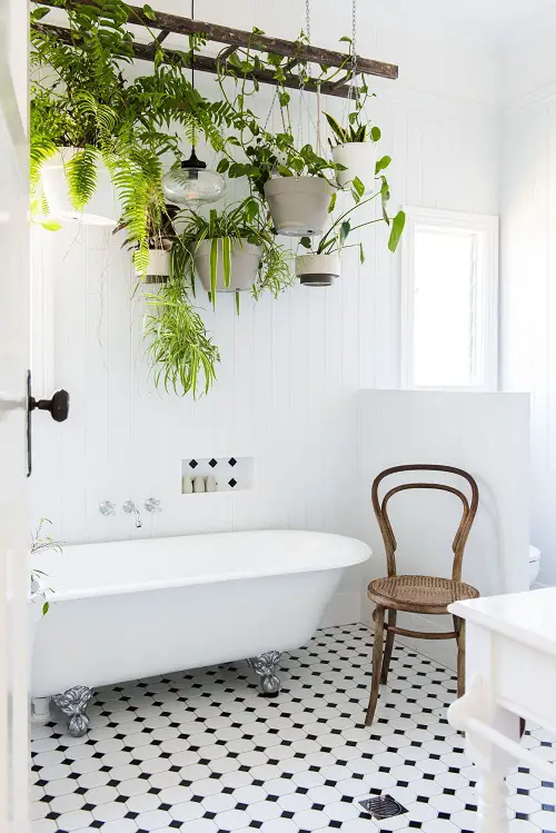 Hanging Plants from Horizontal Ladder