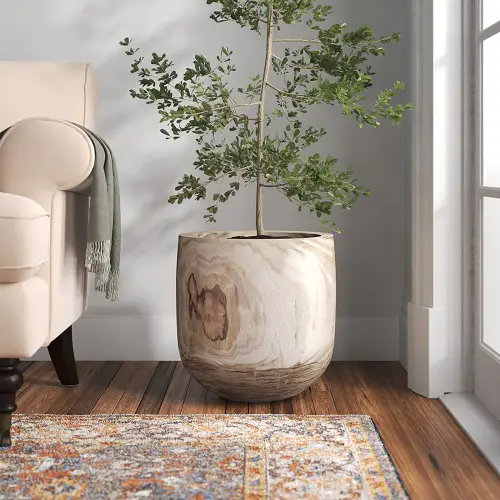The Home Design Secrets of Plant Stylists2