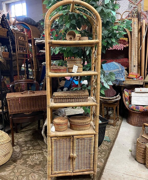 Plant Collection on the Furniture Shelves