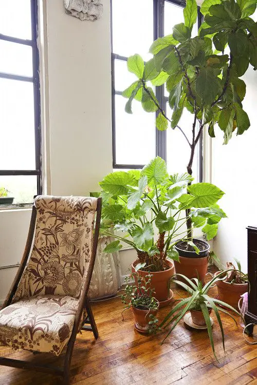Tiny Nook Made into a Mini Garden Indoors Ideas