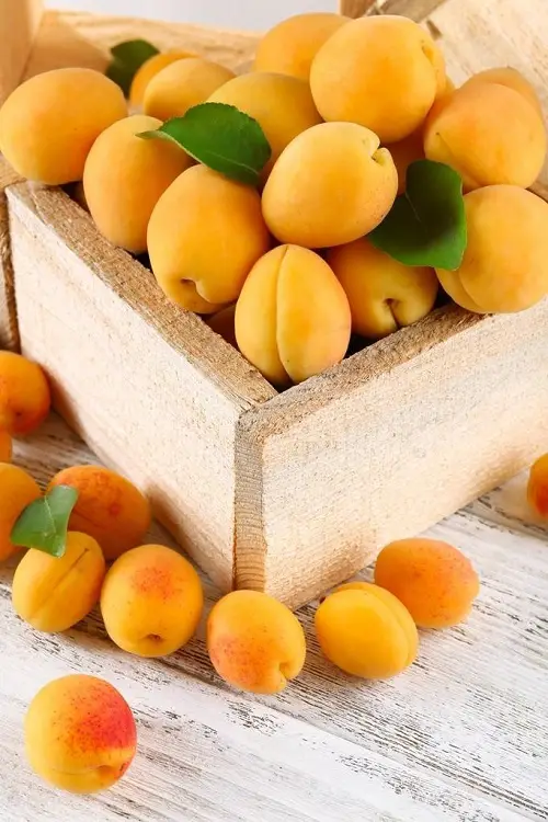 Tasty Fruits That Begin With A
