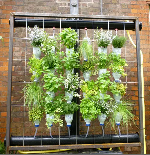 Clever Things to Do in the Garden with Soda Bottles 