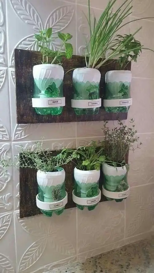 Brilliant Garden Activities Using Soda Bottles