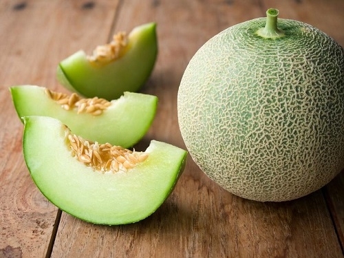Can Dog Eat Honeydew