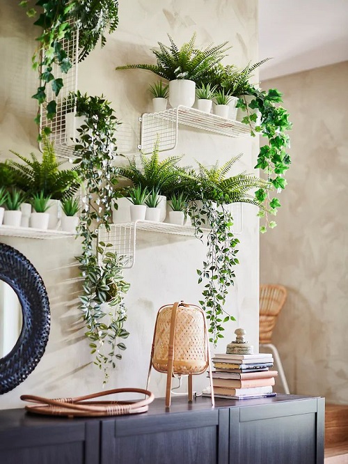 Plant Collection on the White Iron Shelves