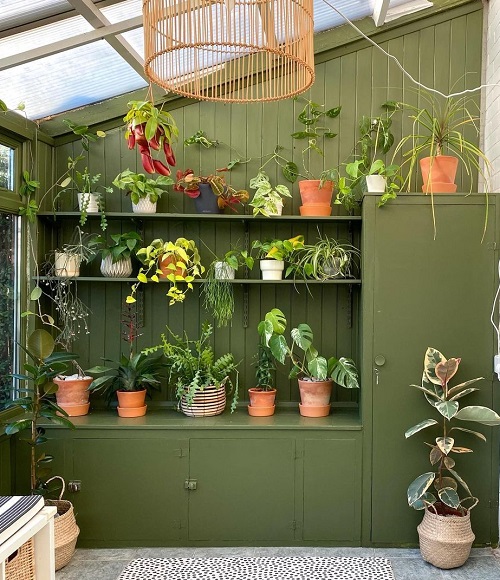 Plant Collection on the Shelves ideas