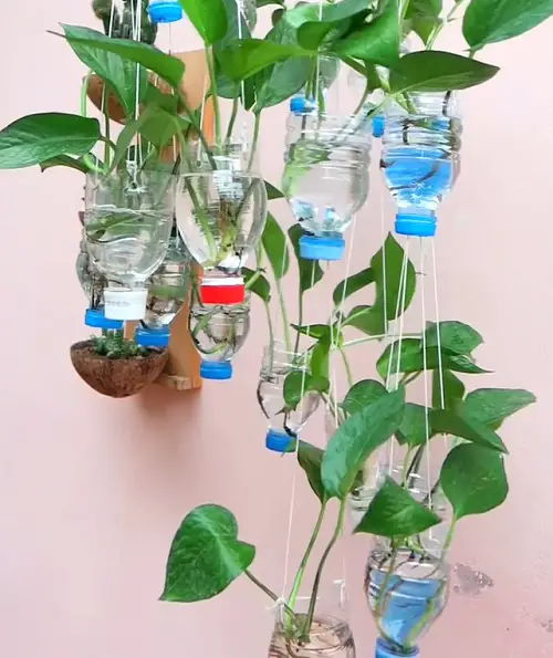 Brilliant Garden Activities Using Soda Bottles 1