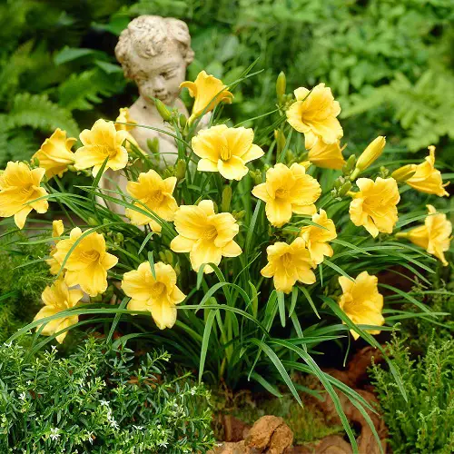 Flowers that Bloom Every Decade