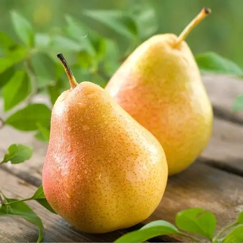 Yellow Pears