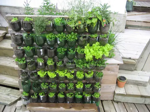 Plastic Soda Bottle Ideas In garden