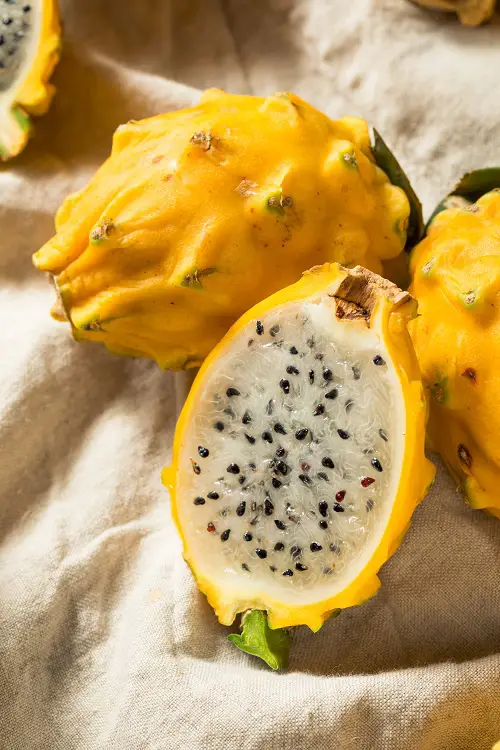 Yellow Dragon Fruit