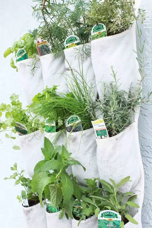 Shoe Rack Porch Herb Garden Ideas 29