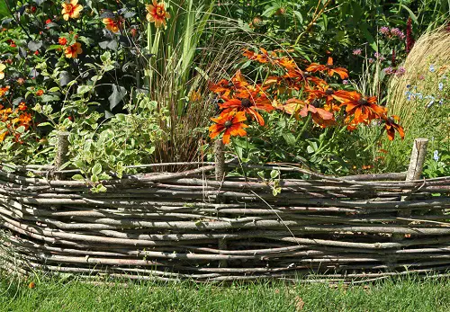 Beautiful Fencing
